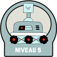 Niveau 5 Badge